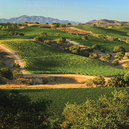 SANTA BARBARA & PASO ROBLES