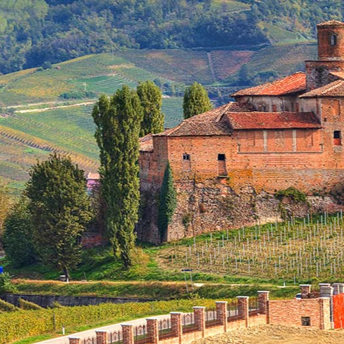 DISCOVER PIEDMONT: CULINARY DELIGHTS