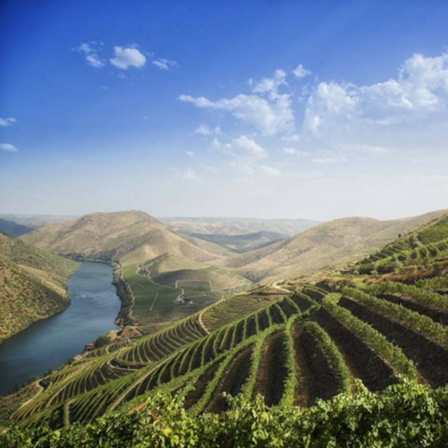 EXPERIENCE THE GASTRONOMIC TREASURES OF PORTUGAL