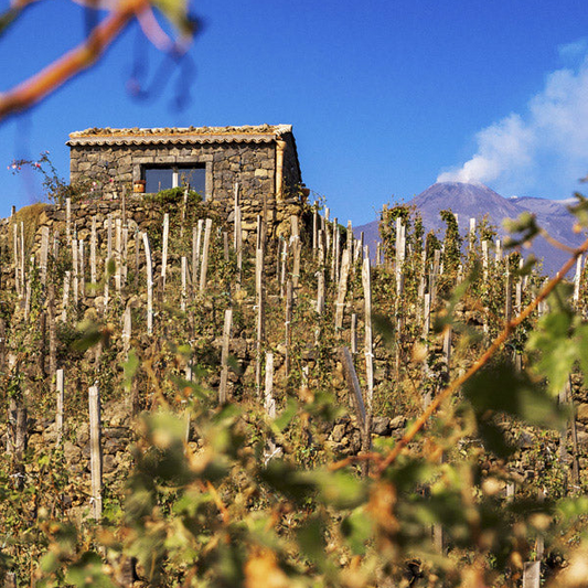 DISCOVER THE SPLENDOR OF SICILY