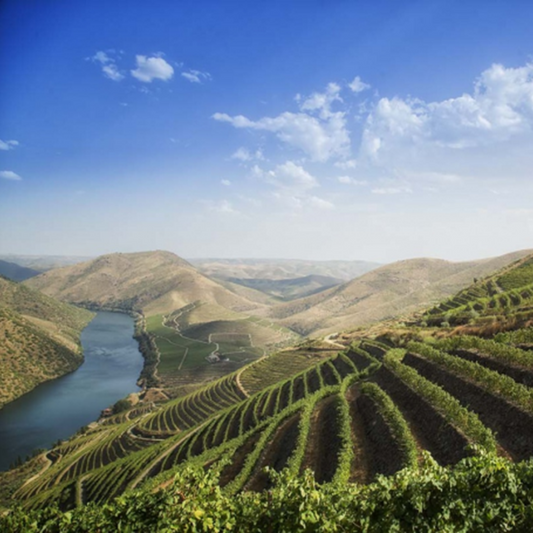 EXPERIENCE THE GASTRONOMIC TREASURES OF PORTUGAL